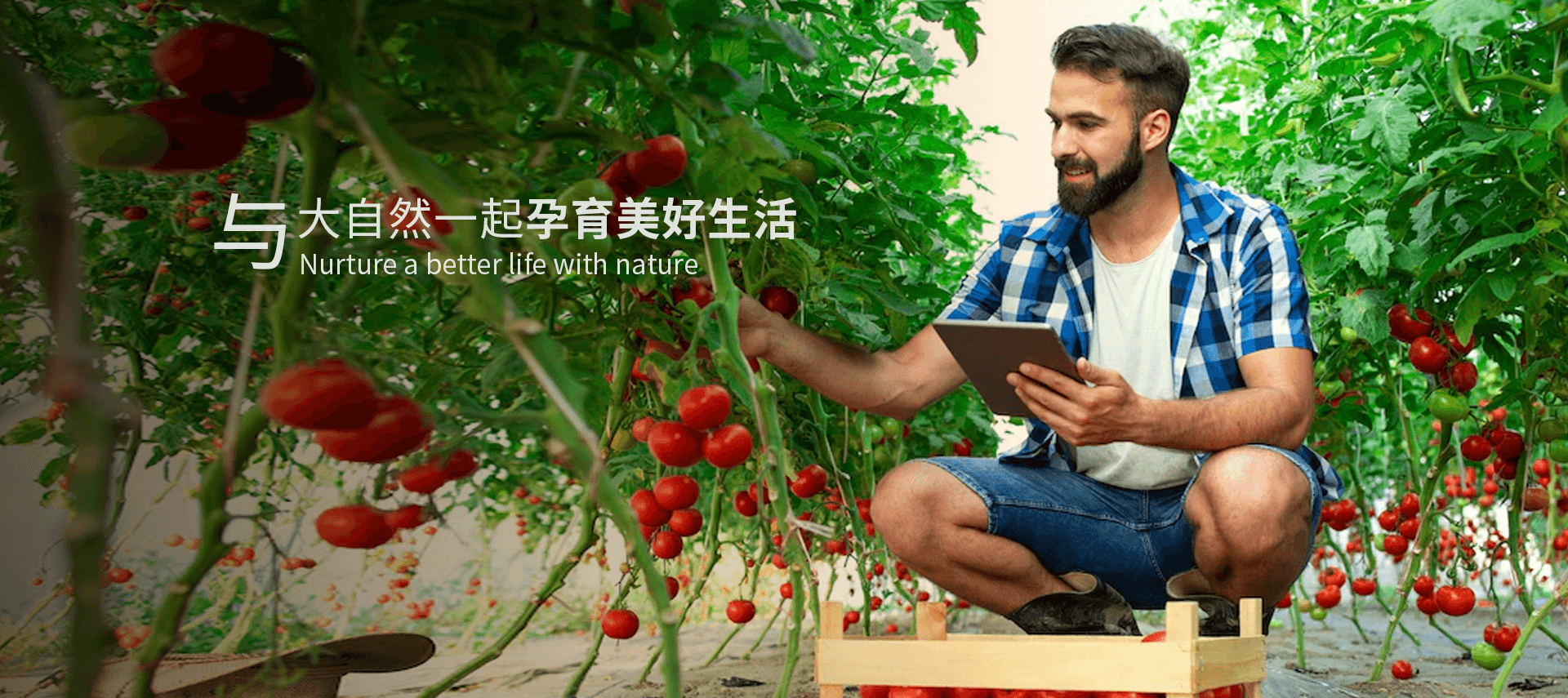 廣告一
